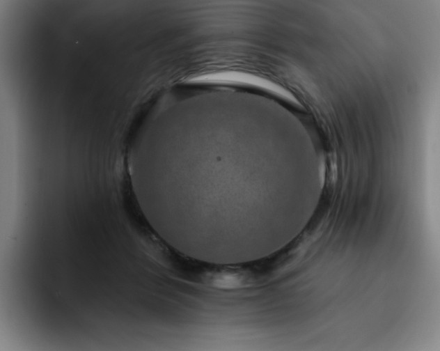 X0000092320412200709211333