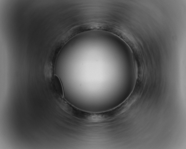 X0000092320413200709211333
