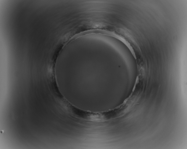 X0000092320415200709211333