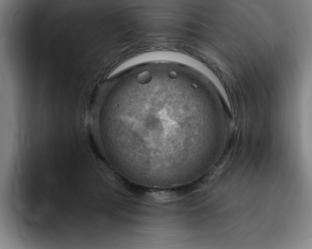X0000092320417200709211333
