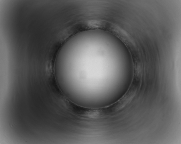 X0000092320418200709211333