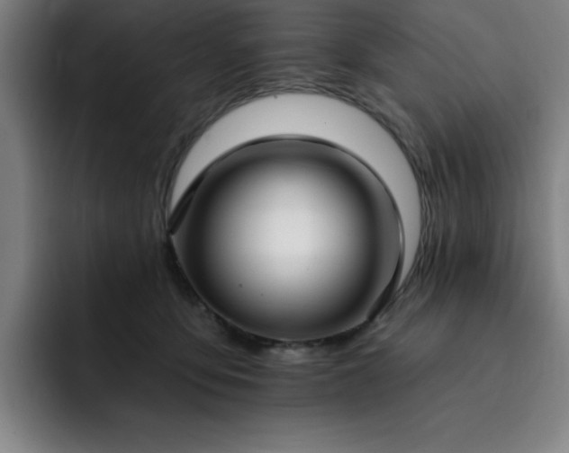 X0000092320419200709211333