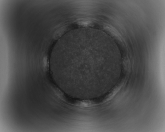 X0000092320420200709211333