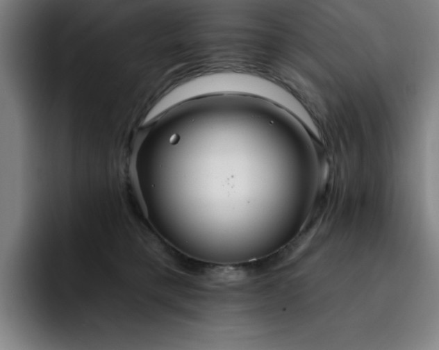 X0000092320421200709211333
