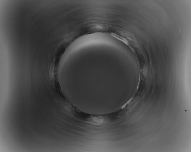 X0000092320423200709211333