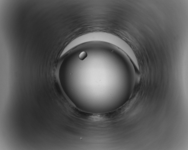 X0000092320425200709211333