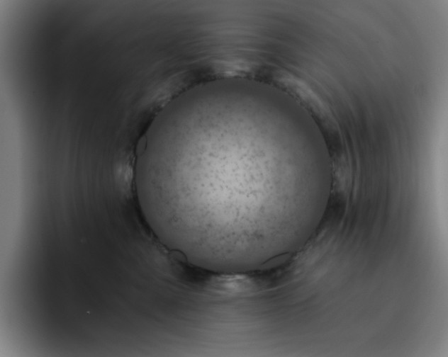 X0000092320427200709211333