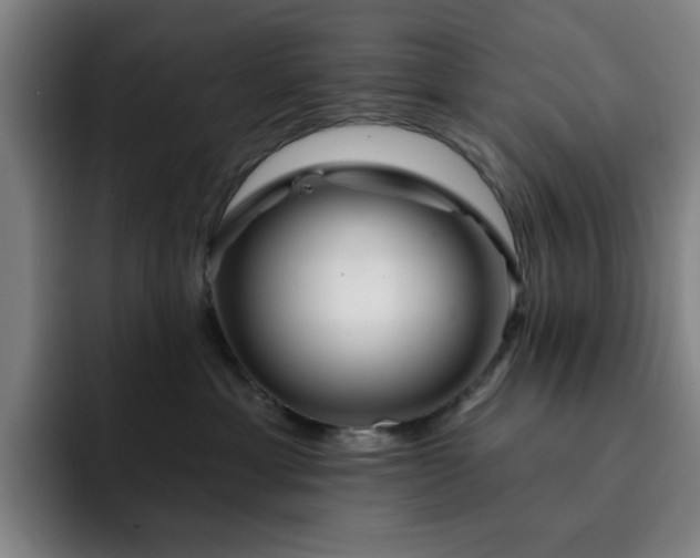 X0000092320429200709211333