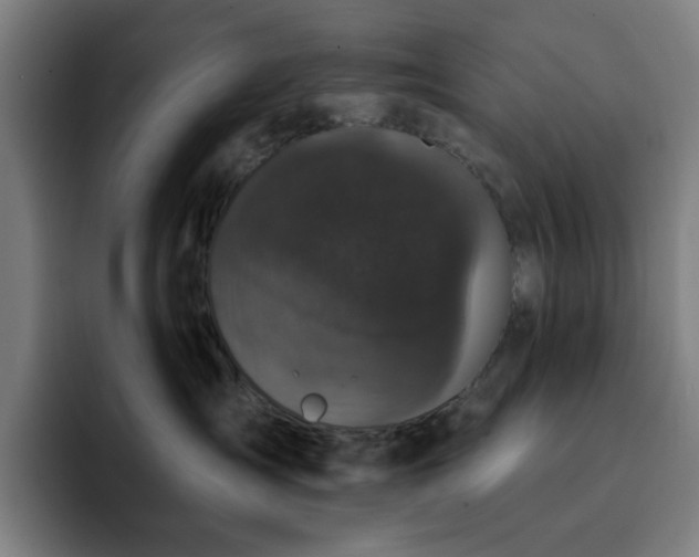 X0000092320431200709211333