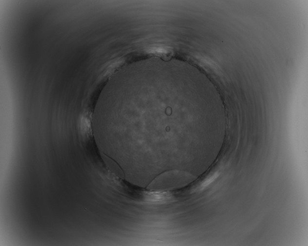 X0000092320432200709211333