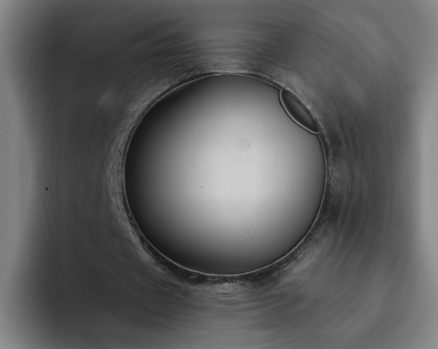 X0000092320433200709211332