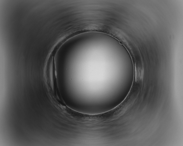 X0000092320435200709211332