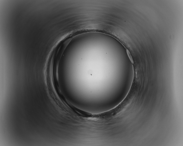 X0000092320436200709211332
