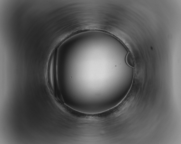 X0000092320437200709211332