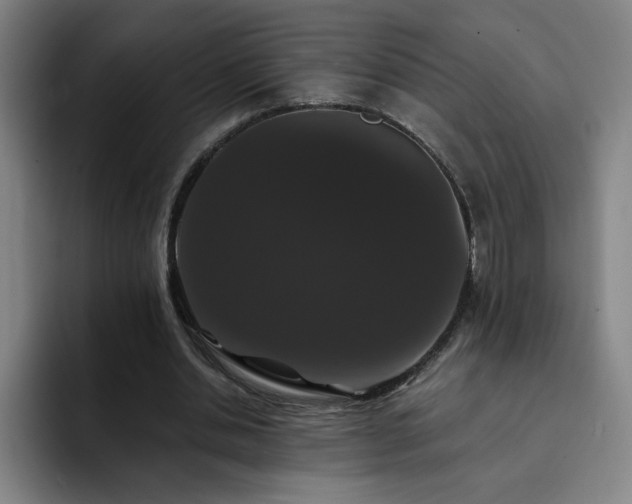 X0000092320438200709211332
