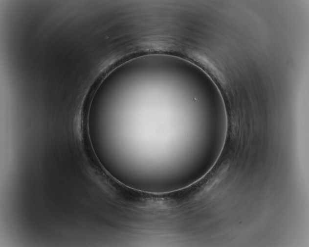 X0000092320439200709211332