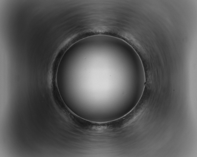 X0000092320440200709211332