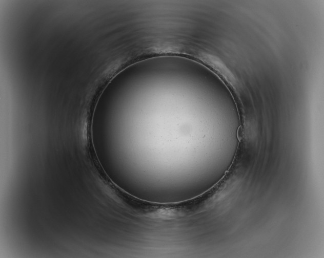 X0000092320441200709211332