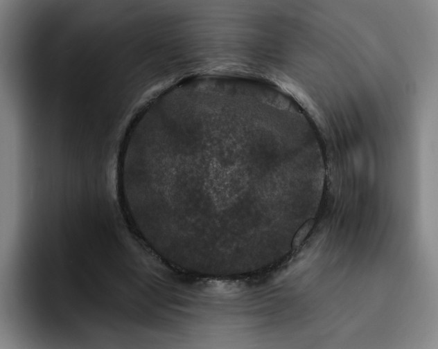 X0000092320442200709211332