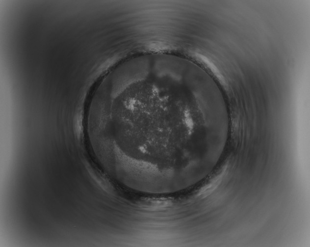 X0000092320443200709211332