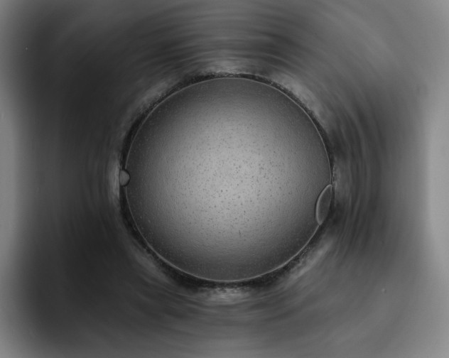 X0000092320445200709211332