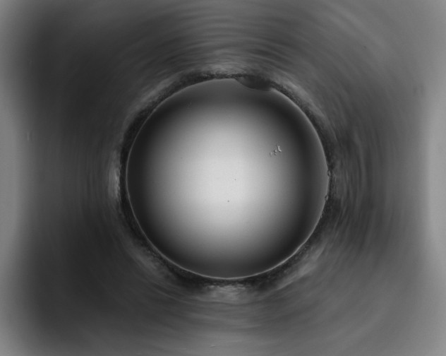 X0000092320446200709211332
