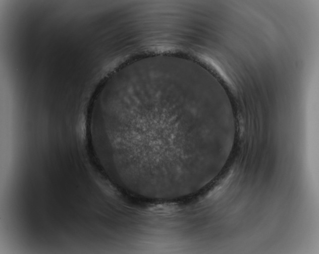 X0000092320447200709211332