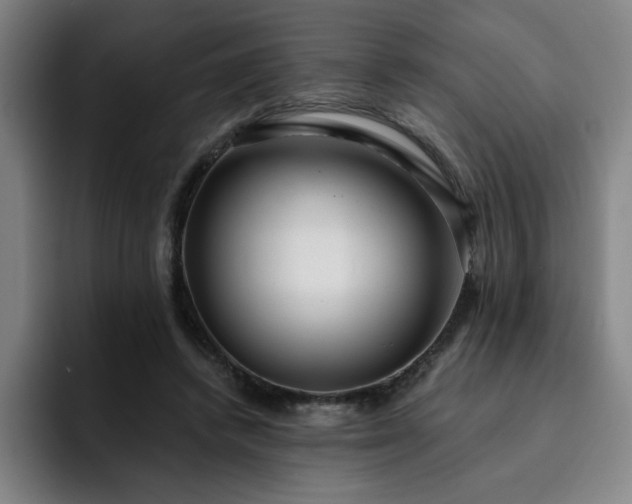 X0000092320448200709211332