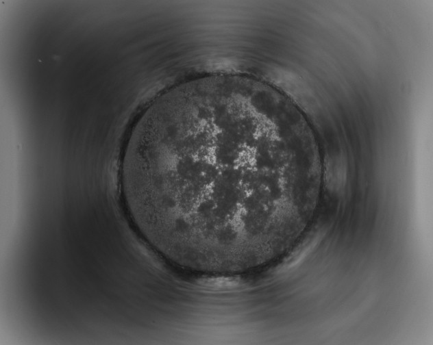 X0000092320449200709211332