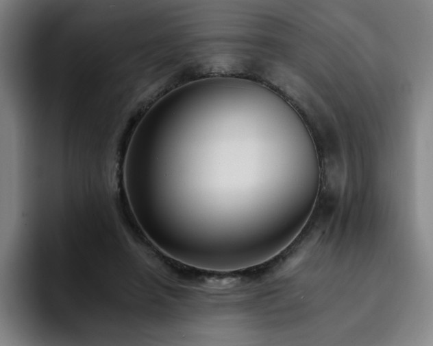 X0000092320450200709211332