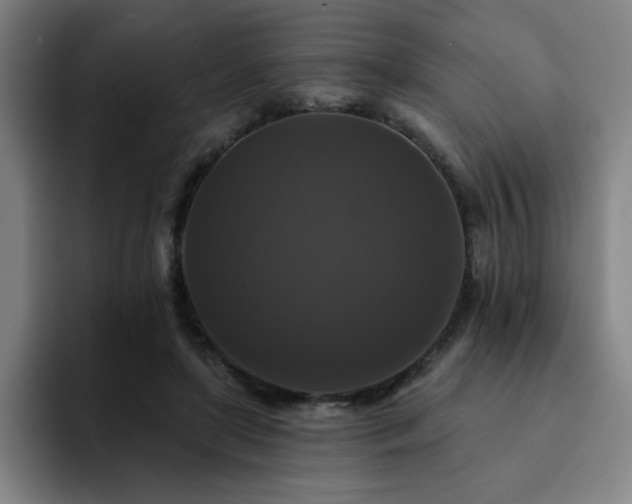 X0000092320451200709211332