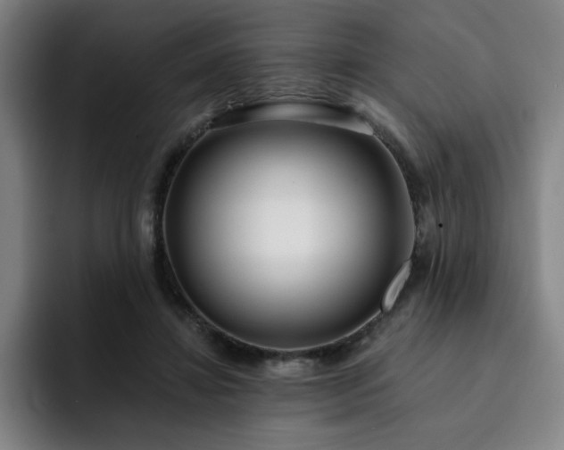 X0000092320452200709211332