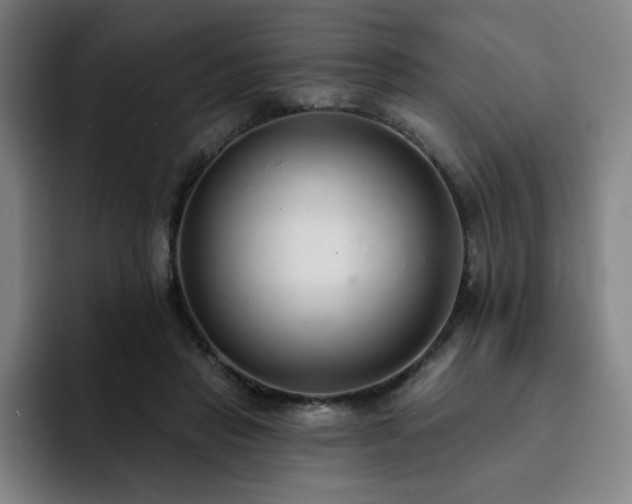 X0000092320453200709211332