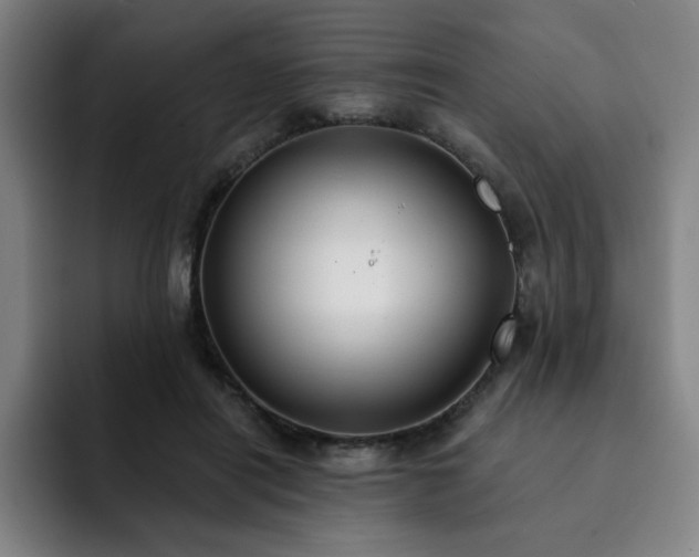X0000092320454200709211332