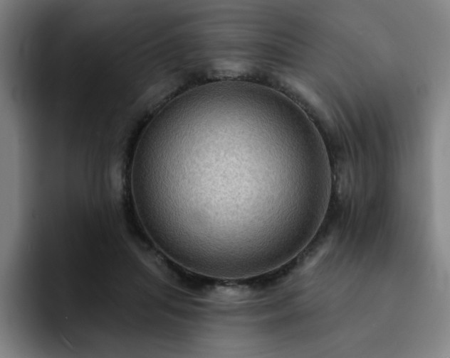 X0000092320455200709211332