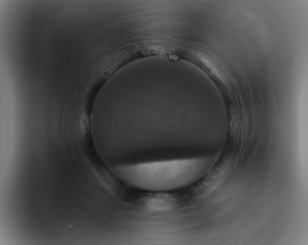 X0000092320459200709211332