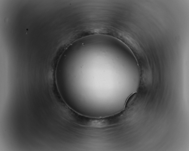 X0000092320461200709211332
