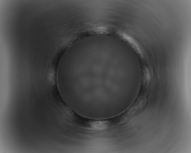 X0000092320465200709211332