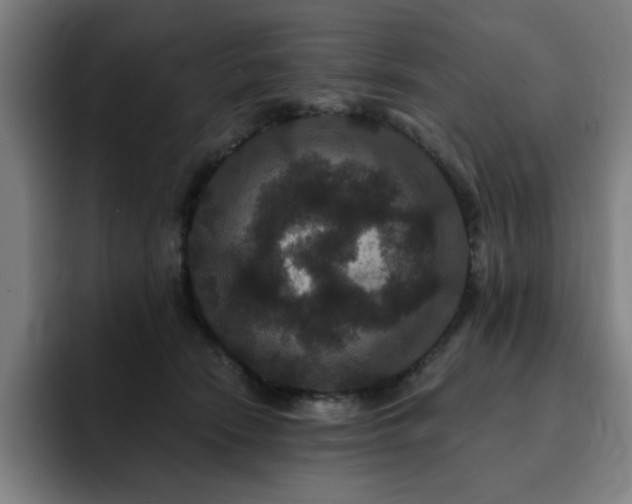 X0000092320466200709211332