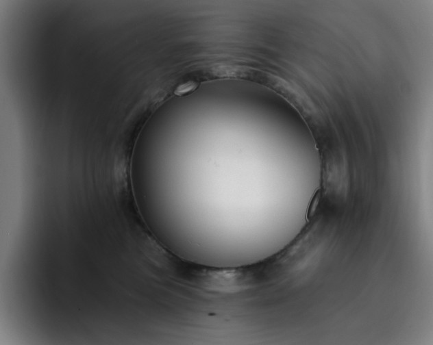 X0000092320473200709211332