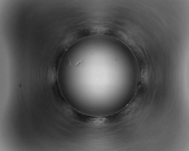 X0000092320474200709211333