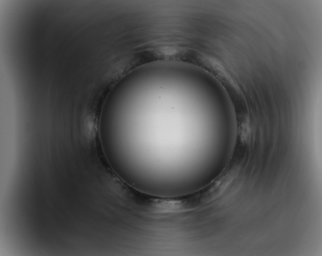 X0000092320476200709211333