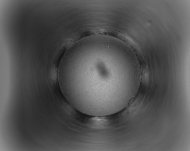 X0000092320477200709211333