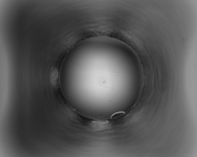 X0000092320480200709211333