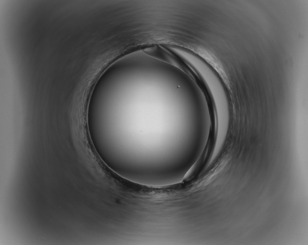 X0000092320481200709211332