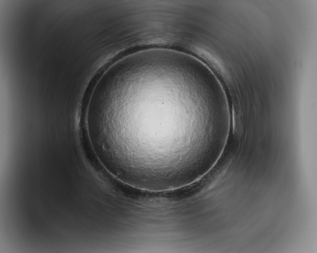 X0000092320483200709211332