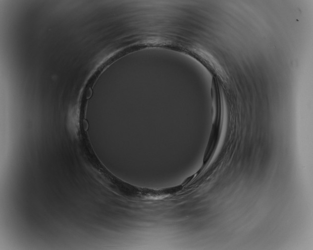 X0000092320484200709211332