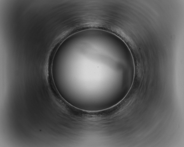 X0000092320486200709211332
