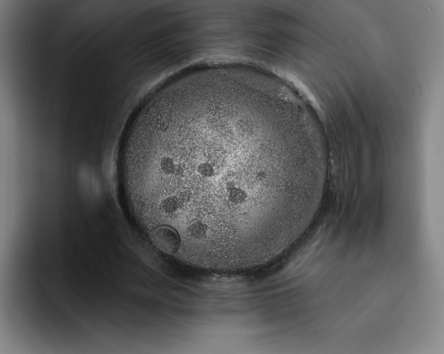 X0000092320487200709211332