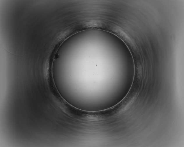X0000092320490200709211332